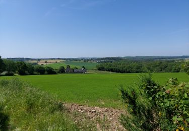 Randonnée Marche Profondeville - ABRE _ Marche Fédérale _ NA _ 28/05/2023 - Photo