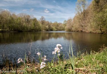 Tour Wandern Bretoncelles - Bretoncelles - Rémalard via Dorceau 11 km - Photo