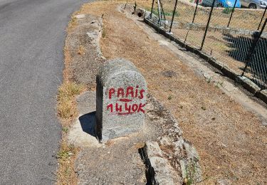 Trail Walking Cuttoli-Corticchiato - Mont Aragnascu - Photo