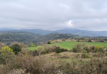 Tour Wandern Octon - Octon-Chapelle ND de Roubignac - Photo