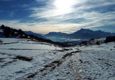 Randonnée Raquettes à neige Susville - Pierre Plantée et Serre de l'Horizon en circuit - Photo