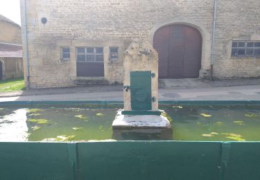 Randonnée Marche Villers-sous-Chalamont - Villers sous chalamont - Photo