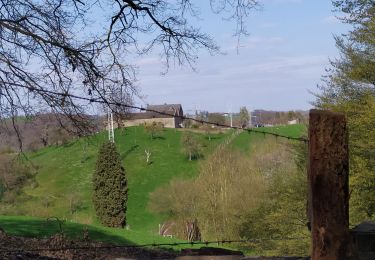 Tocht Stappen Luik - Fayenbois 8 avril - Photo