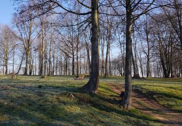 Tocht Stappen Luik - Rocourt > fort de Lantin > Liers > Rocourt  - Photo