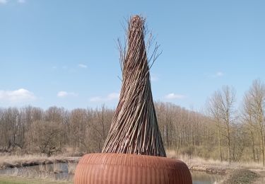 Trail Walking Dendermonde - dendermonde - Photo