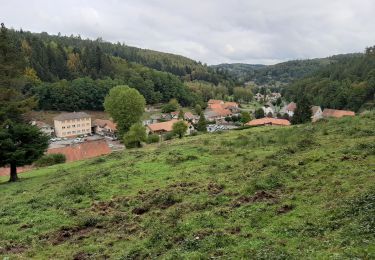 Tocht Stappen Saint-Quirin - st Quirin  - Photo