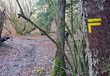 Excursión Senderismo Darnets - boucle des Troubadours - Photo