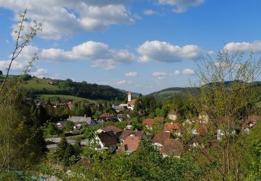 Randonnée A pied Gemeinde Aspang - Aspang-Markt - Spitzer Riegel - Photo