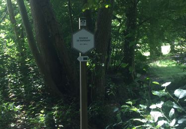 Tour Wandern Spa - Spa creppe  - Photo