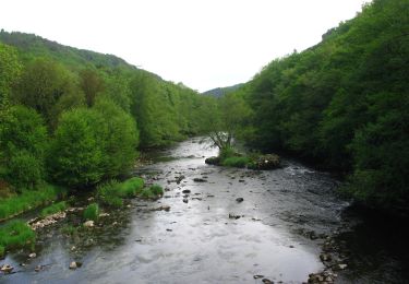 Randonnée A pied Ayat-sur-Sioule - Les Cotes - Photo