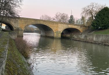 Trail Walking Metz - Metz Bras mort de la Moselle - Photo