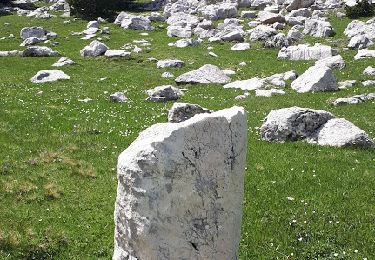 Trail Walking Saint-Agnan-en-Vercors - Beure - Pré Peyret -Carrières Romaines - Photo