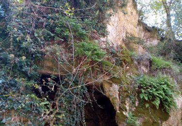 Tour Wandern Veyrignac - Ronde des Villages samedi - Photo