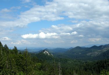 Tour Zu Fuß  - Štirovaća-Ljuljevac - Photo