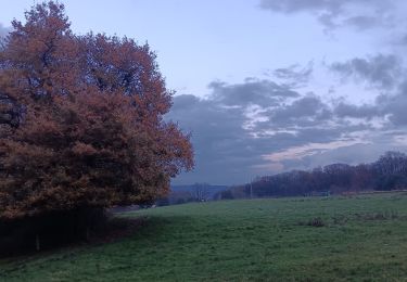 Randonnée Marche Liège - sart tilman et saint Laurent  - Photo