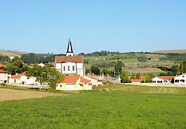 Tocht Stappen Beauregard-Vendon - Chaptes_Puy_Loule - Photo