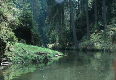 Randonnée A pied Sebnitz - Hinterhermsdorfer Rundweg - Photo