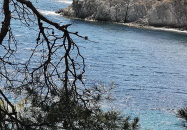 Tour Wandern Hyères - giens la madrague - Photo