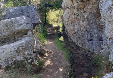 Trail Walking Signes - rigoles du latay - Photo