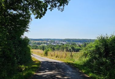 Tocht Stappen Consdorf - 2023-06-19_09h33m43_Sentier_local_-_C6 - Photo