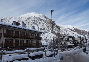 Percorso A piedi Courmayeur - Alta Via n. 2 della Valle d'Aosta - Tappa 2 - Photo