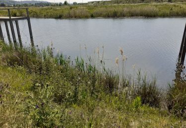 Tour Wandern Oupeye - Mosa, gravière du Brock, Richelle, Visé  - Photo