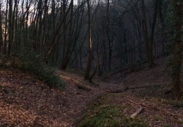 Randonnée Marche Liège - Sart Tilman - Landes de Streupas - Photo