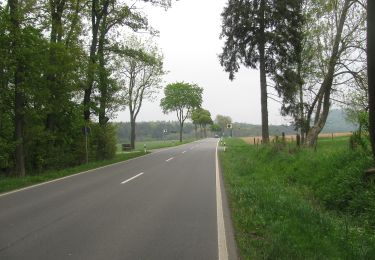 Tocht Te voet Bad Arolsen - Bonifatiuspfad Abschnitt 3, Volkhardinghausen - Naumburg - Photo