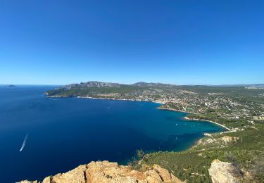 Tocht Stappen La Ciotat - La Ciotat Cassis par la falaise cap canaille  - Photo