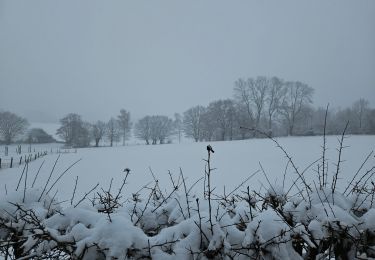 Percorso Marcia Soumagne - ❄️⛄️ Soiron - Photo