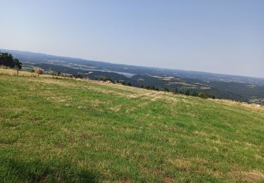 Tour Mountainbike Le Bouchet-Saint-Nicolas - Bouchet  - Le Cheylard 2020 - Photo