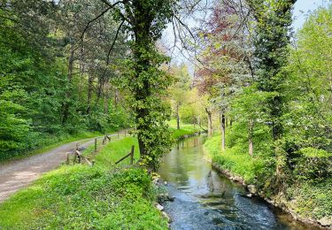 Trail Walking Wanze - La promenade de la Pierre à Moha (Wanze) - Photo