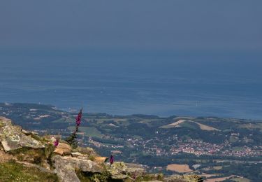 Trail Walking Sare - La Rhune an A/R depuis le col de St Ignace - Photo