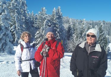 Excursión Marcha nórdica Bouvante - 20220129chaudclapier - Photo