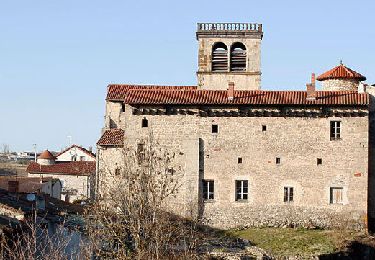 Trail Walking Saint-Dier-d'Auvergne - St_Dier_Ribes_Miodet - Photo