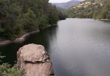Excursión Senderismo La Valla-en-Gier - la Valla en Gier 42 - Photo