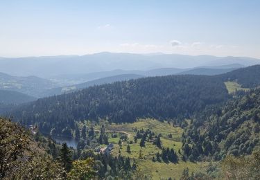 Trail Walking Orbey - ARCA LAC NOIR - Photo