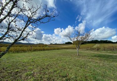 Trail Walking Mercuès - Mercues Caillac  - Photo