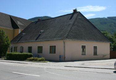 Tocht Te voet Gemeinde Altenmarkt an der Triesting - Thenneberg - Reisberg Rundwanderweg - Photo