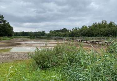 Percorso Marcia Heusden-Zolder - 2025-08-16 # GR5 - Viversel - Bokrijk - 30 kms - Photo