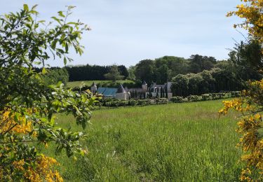 Tocht Stappen La Chapelle-aux-Naux - la Chapelle-aux-Naux - Château Châtonnière - 21.3km 175m 4h55 (50mn) - 2025 05 02 - Photo