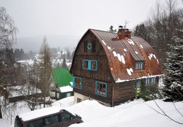 Tour Zu Fuß Odrodzenie - Dřevařská cesta - Photo