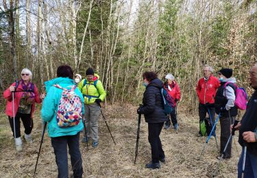 Trail Walking Fillière - les ollieres - Photo