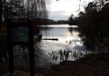 Trail Walking Carsac-de-Gurson - randonnée Lacustre  lac de Gurson  - Photo