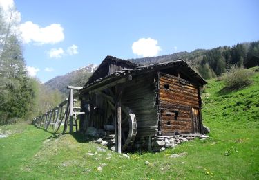 Tour Zu Fuß Terenten - IT-8A - Photo