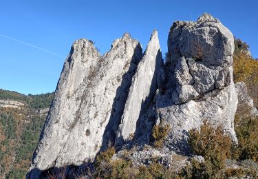 Trail Walking Rimon-et-Savel - savel les lames par pennes le sec - Photo