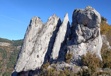 Randonnée Marche Rimon-et-Savel - savel les lames par pennes le sec - Photo