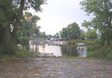 Randonnée A pied Poděbrady - [M] Poděbrady - Oseček - Photo