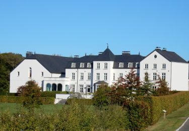 Tour Wandern Saint-Hubert - SAINT-HUBERT (Agréable balade forestière dans la forêt du Roi Albert). - Photo