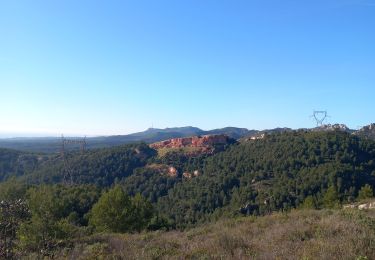 Trail Walking Saint-Savournin - vallon figuiere - Photo